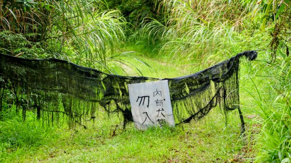 桶後越嶺古道2876797