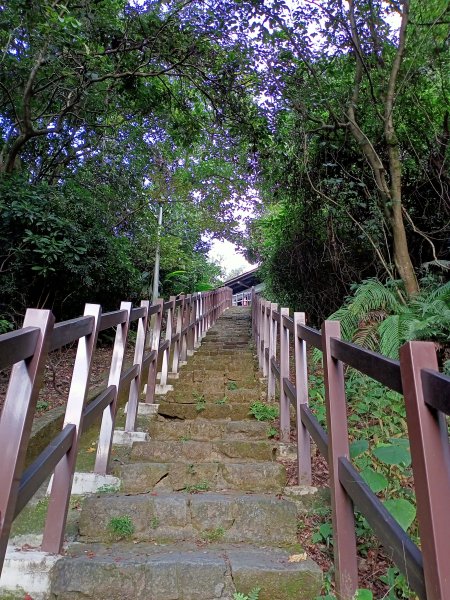 【南山神壽任務尋寶趣】碧湖公園步道憶故人1579609