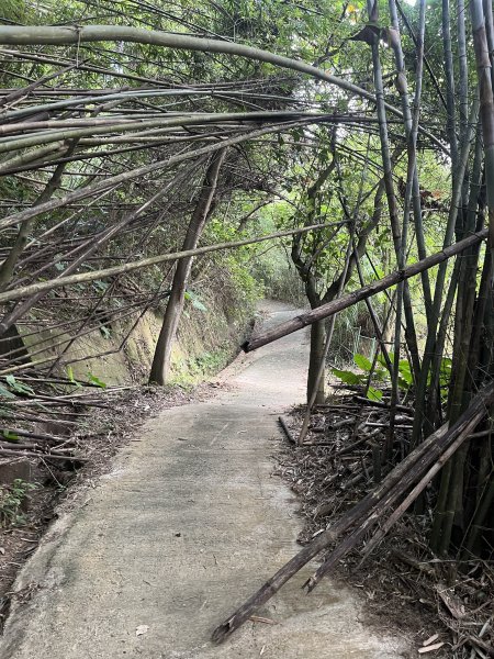 [皮皮獅Hike客任務-10/10] 2024_0831 十二寮古道2586602