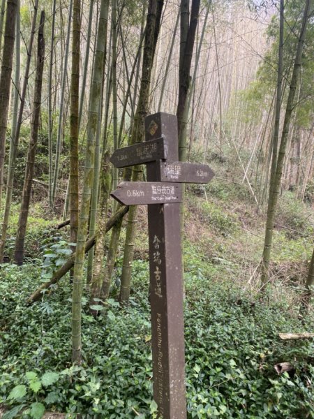 奮瑞瑞太古道3060173