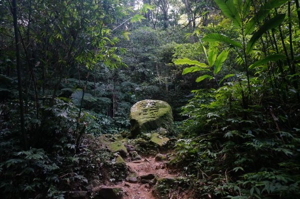 桃園石門山+小粗坑2021935