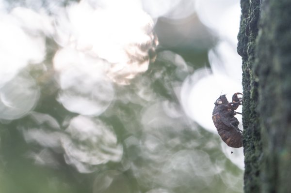 微笑山線 筆架連峰段段｜健行筆記尋寶任務2824772