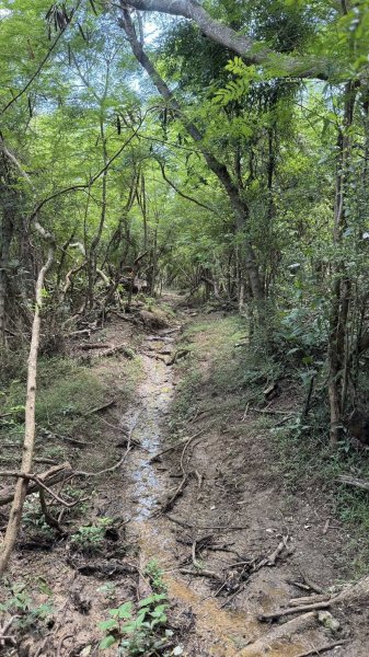 20250811小百岳大山母山2858842