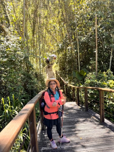 阿里山迷糊步道-福山古道2793372