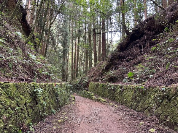 漫步特富野古道2371480