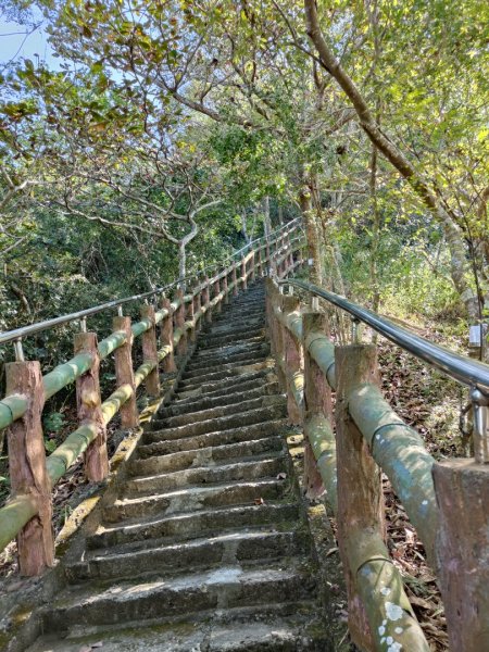 2023.12.24 旗尾山2838051