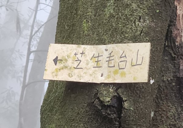【中級山】芝生毛台山，芝生毛台山西峰，秀巒軍艦岩，屯野生步道，屯野生砲台2745124