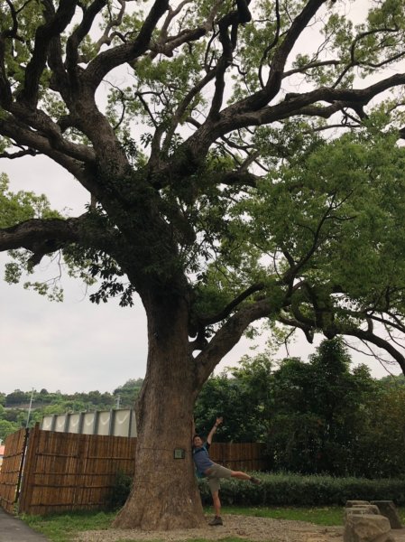 郡大山.望鄉山.臺中花博【給自己一份難忘569151