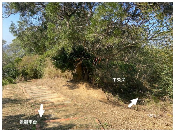 中央尖、山背伯公步道O型路線2708774