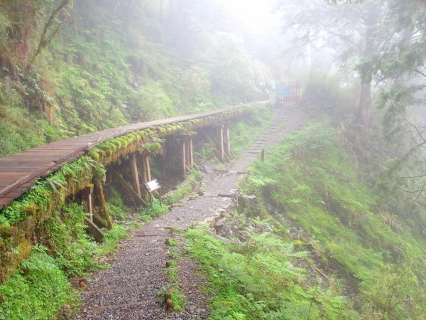 太平山之見晴懷古步道43166