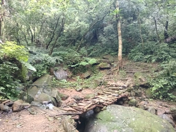 基隆市暖東舊道+頂子寮山+五分山步道(五分山)去回2946198