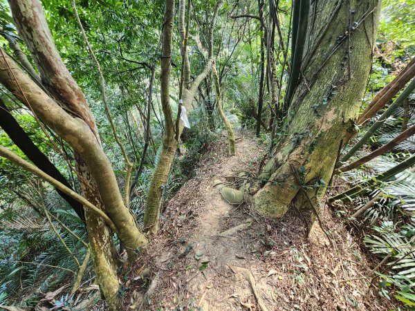 20260223柯子湖山菜堂山尖山沙湖壢山與寶山水庫基石3012625