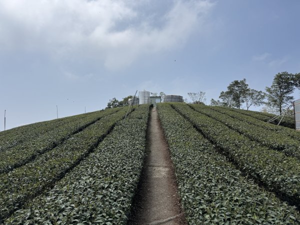 1150322雲嘉8連峰3023011