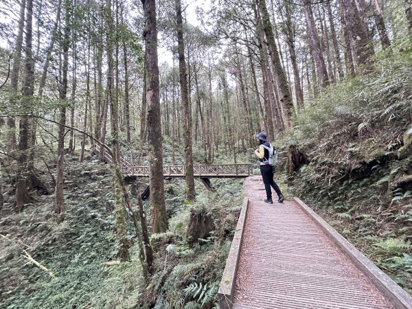 眠月線健行2992986