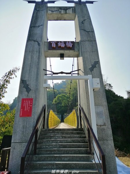 台中~仙氣繩橋山林環繞。 蝙蝠洞登山步道1295474