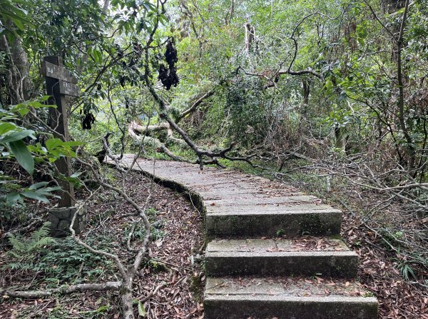 [微笑山線_第九段] 2025_0914 二格山系_皇帝殿西峰2889792