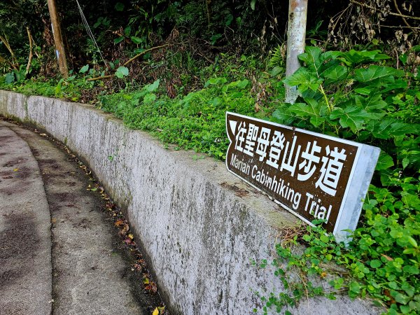 小百岳集起來-三角崙山2185362