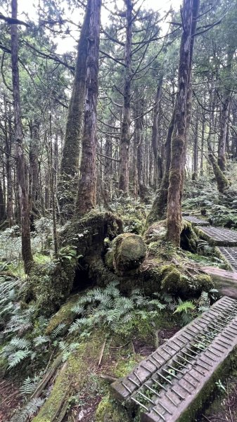 太平山翠峰湖環山步道2551625