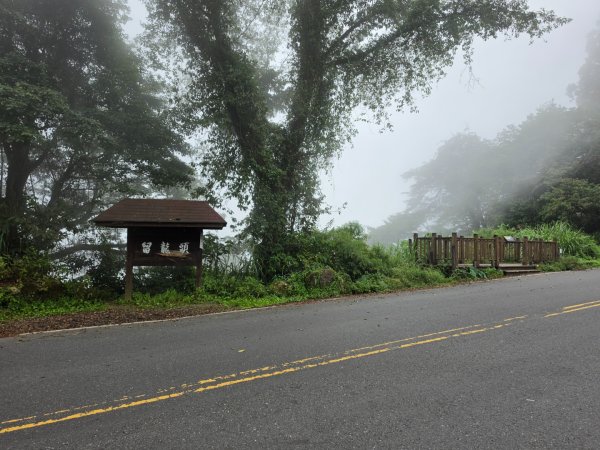 小百岳No.54⛰金柑樹山3119920