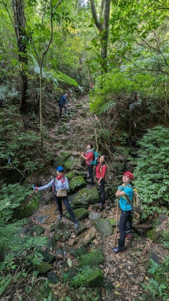 東勢大崙、東勢坑山、觀音湖山O走2986330