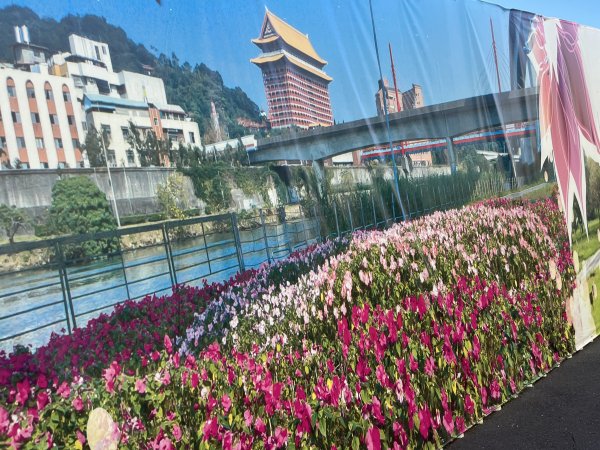 [2025臺北健走趣-02/49] 2025_0630_古亭河濱公園2825328