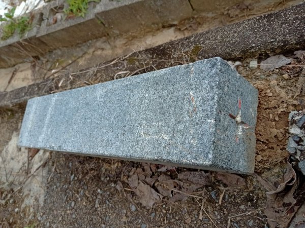 20220226台中和平尾文坑山、三叉坑山、穿龍山、大湖桶山基石1619038