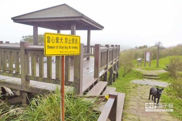 【新聞】陽明山國家公園 禁餵流浪貓狗