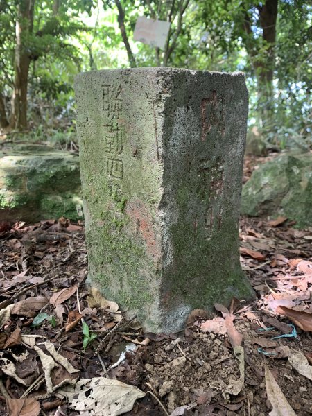 20240525高雄番子寮山-番子寮山主峰2517786