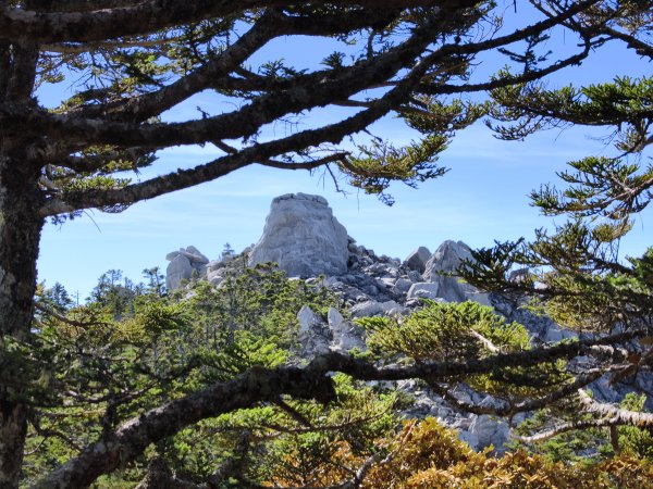 北一段(09/14)南湖東南峰 2025_0906~132887059