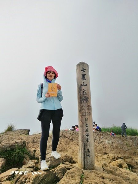 台北市第一高峰。 編號02小百岳七星山1235322