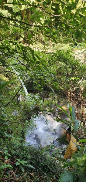 2020/07/18臺北大縱走第七段：名門社區公車站至飛龍步1166411