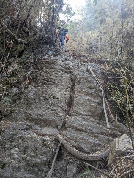 廢棄的伐木時期聚落「巒安堂」。陡下膝軟的「西巒大山」2137100