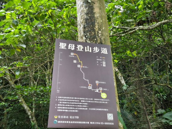 聖母登山步道（抹茶山）、三角崙山（小百岳）2774089