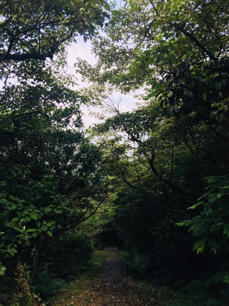 淡蘭北路楊廷理玩泥巴（瑞芳-雙溪）587208