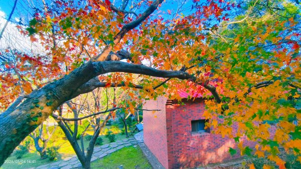 #花卉試驗中心 #永公路500巷 #平菁街42巷 #原住民公園 #士林官邸 1/42976626