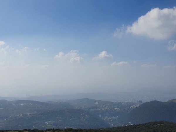 七星山主、東峰登山步道（小百岳）1275231