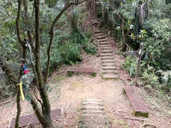 平溪區三功大厝+番子坑山+千階嶺步道O型2781169