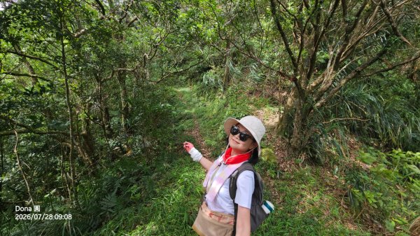 平湖西步道.內平林山.大坑山.平湖東步道O走全紀錄3094139