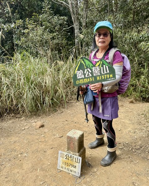 鵝公髻山2724394