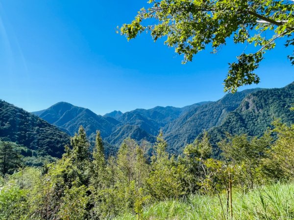 1140825司馬庫斯新巨木園區-司立富瀑布-部落觀景台2871158