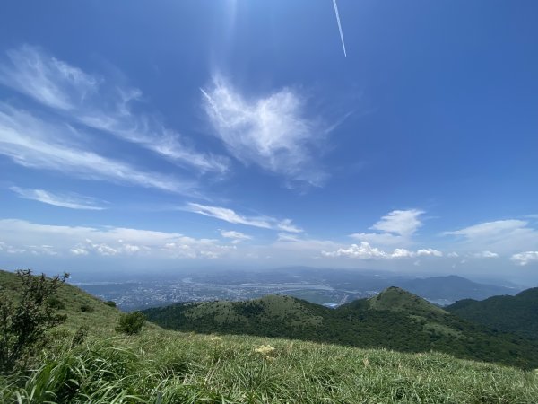 20240518大屯山主峰步道2508043