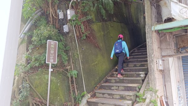 (姨婆趴趴走)第五十二集:新北新店攀登和美山及灣潭山2761082