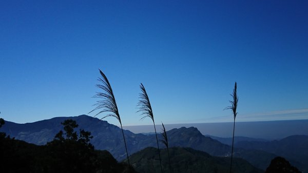 羅山林道北線趴趴走417944