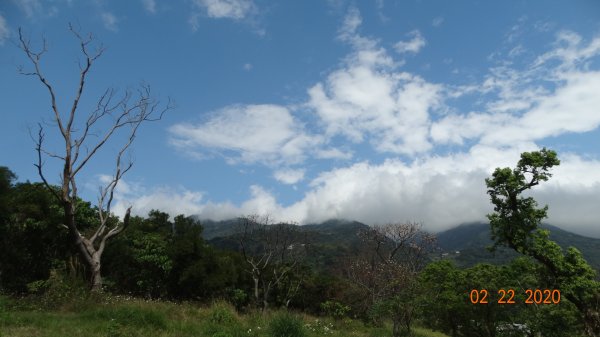 午餐的約會-北投三層崎/貴子坑845557