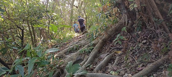 20230929_槓子寮山+砲台步道2300861