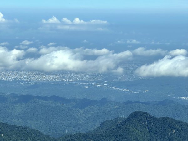 加里山O繞20250713(大坪登山口-杜鵑嶺-加里山-避難小屋-大坪登山口)2836899