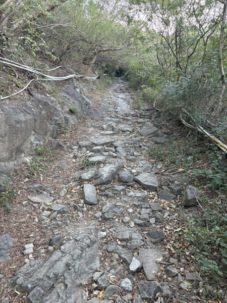 20251213屏東里龍山2961261