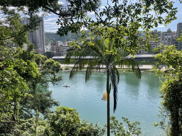 【二格山系】和美山螢火蟲2852564