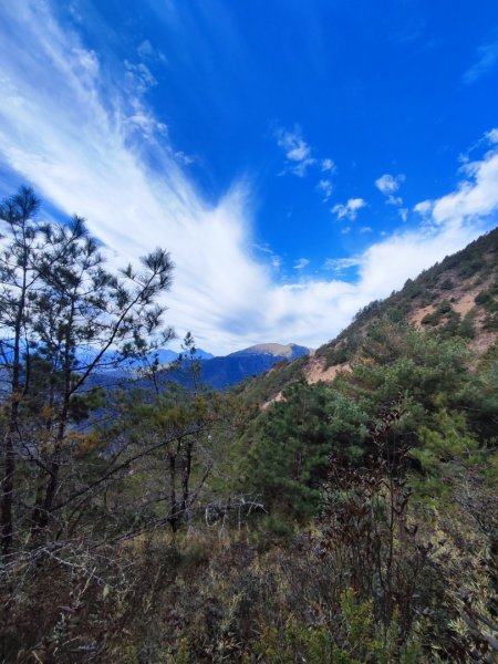 單攻志佳陽2725305