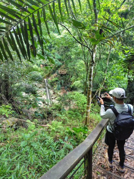 達娜伊谷-里美避難步道-巨石板步道-約富霓2788559